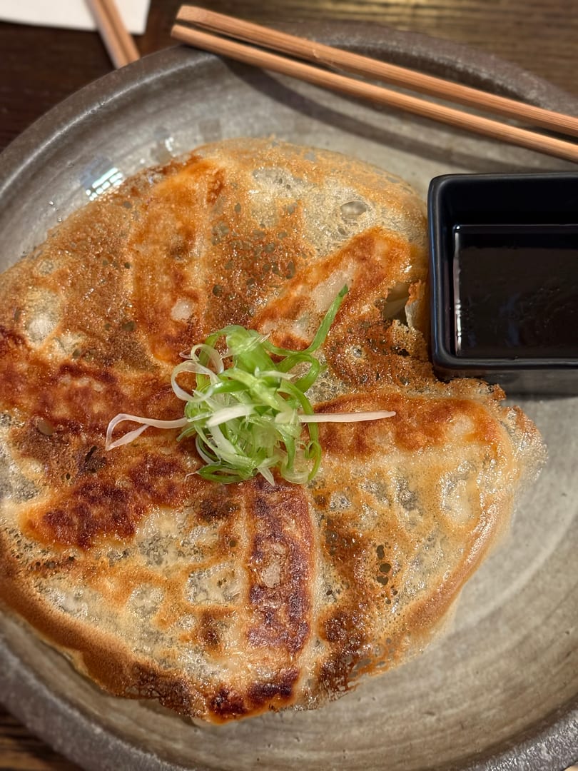 Crispy fried gyoza topped with green onions, served with a side of dark dipping sauce.